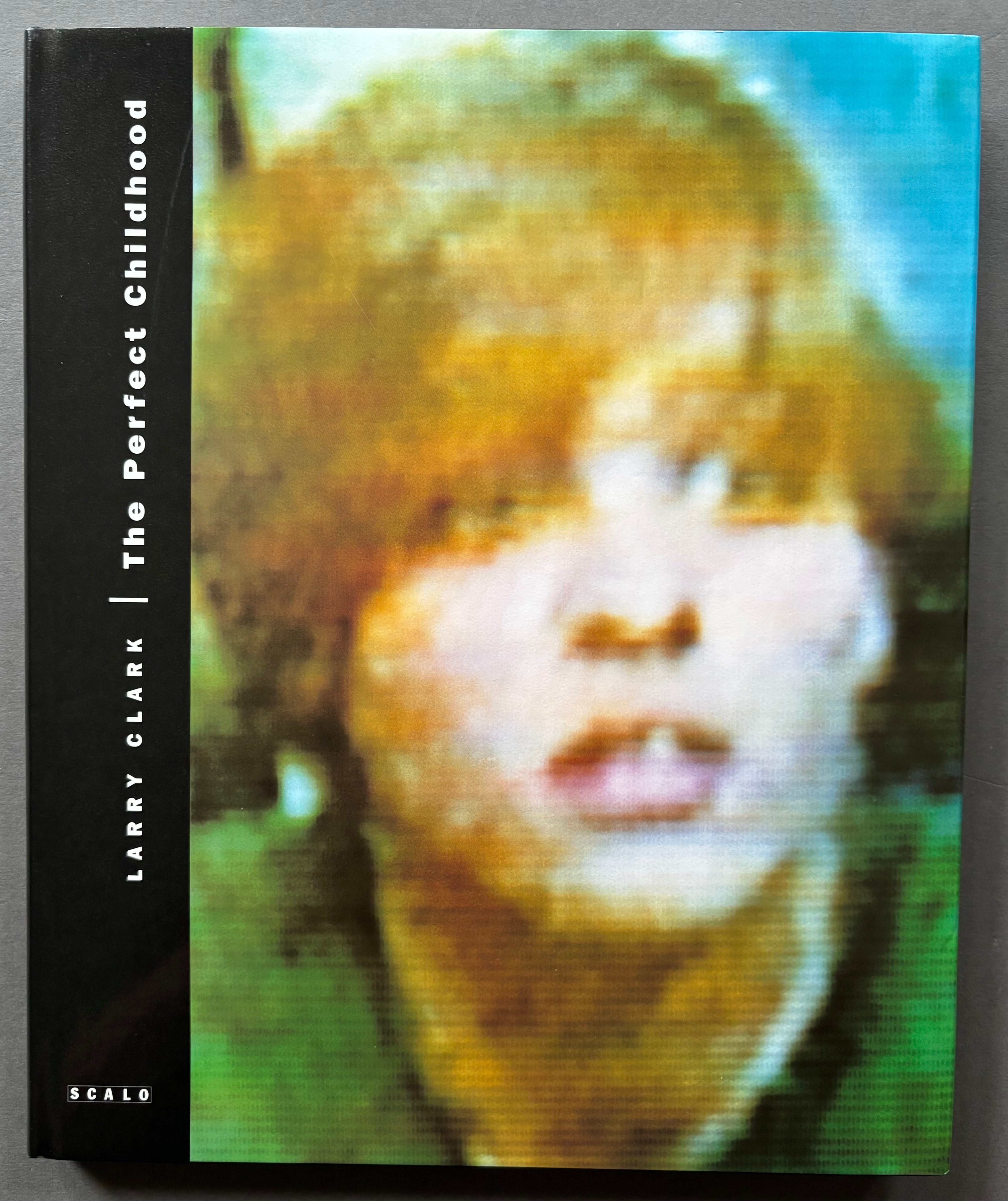 Buy The Perfect Childhood by Larry Clark Online – Setanta Books