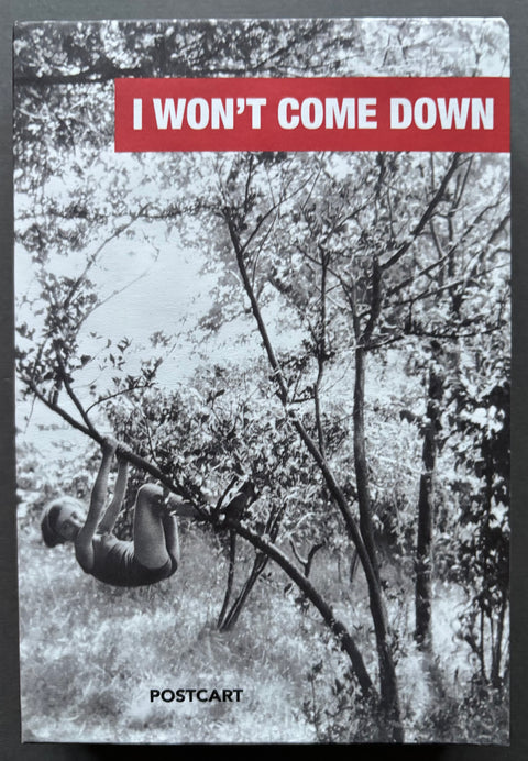 I Won't Come Down