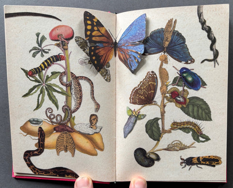 The Little Jungle Book