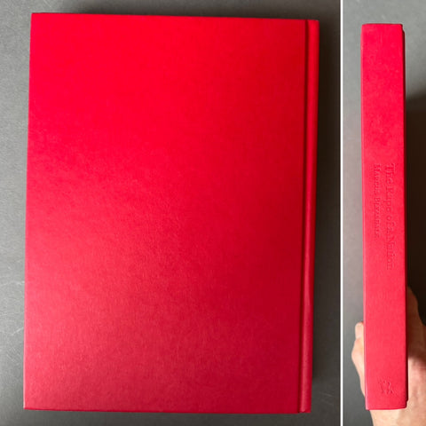 The Rape of a Nation