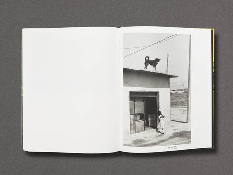 Mexico Limited Edition with Print