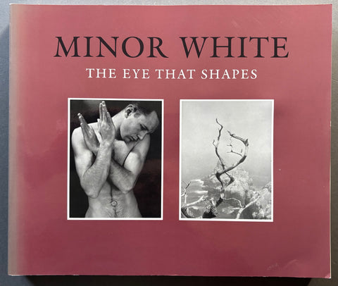 The Eye That Shapes