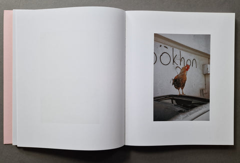 An open book with blank white pages on the left and a printed photograph on the right showing a rooster standing on a car in front of a wall with graffiti.