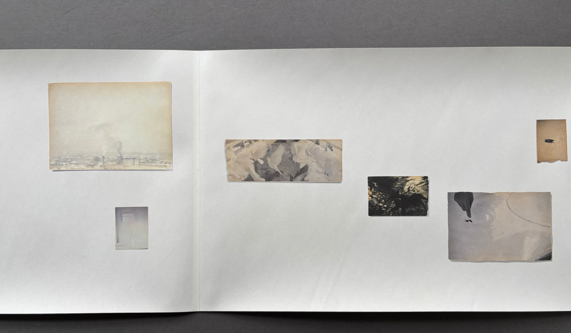 Buy Nakazora by Masao Yamamoto acrylic box unique online – Setanta
