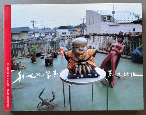 Shinseiki No Shashin