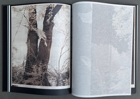 As the Twig is Bent, So Grows the Tree