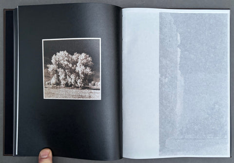 As the Twig is Bent, So Grows the Tree