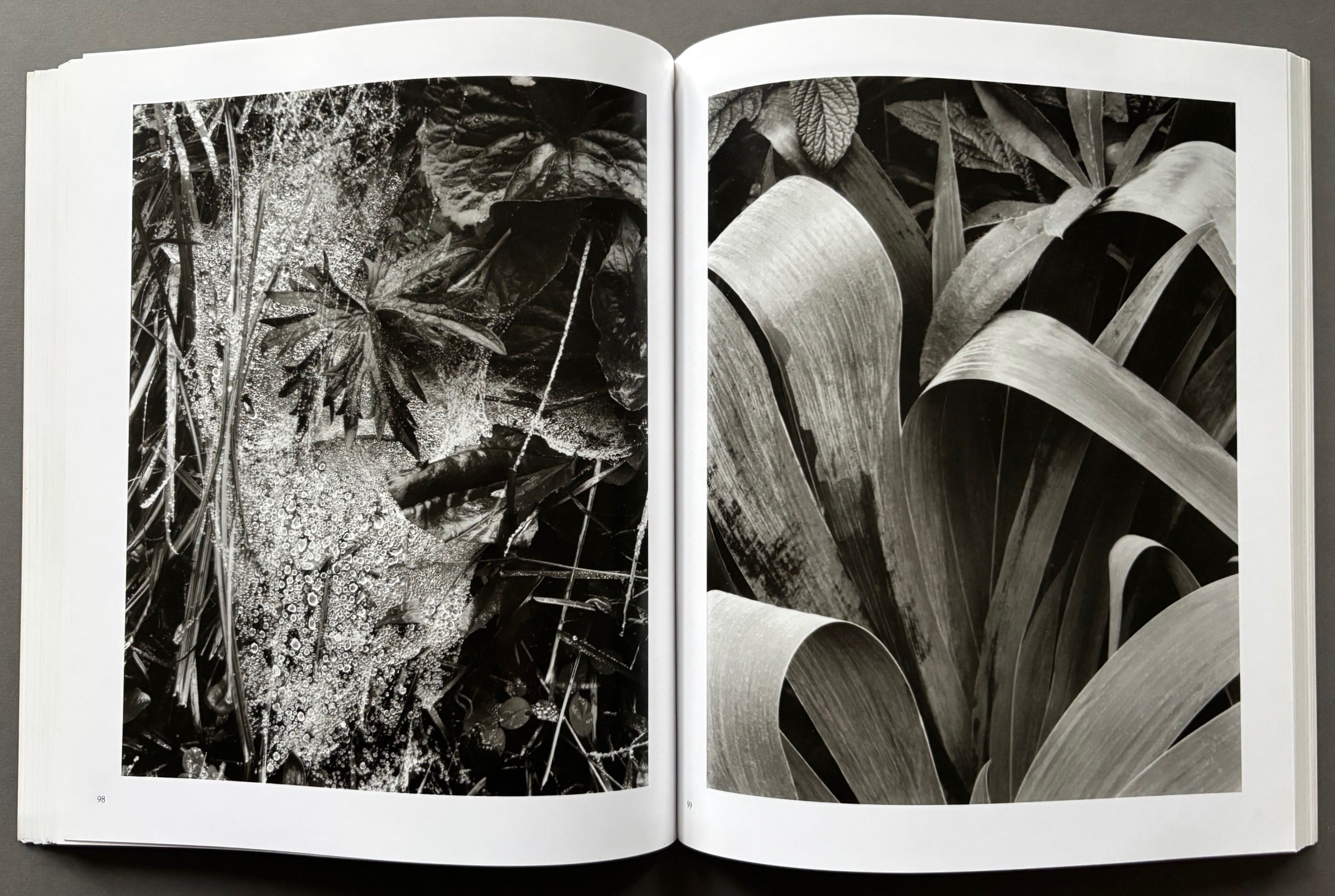 Buy Paul Strand: Sixty Years of Photographs Online – Setanta Books