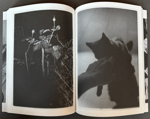 She Could See Herself in the Darkness