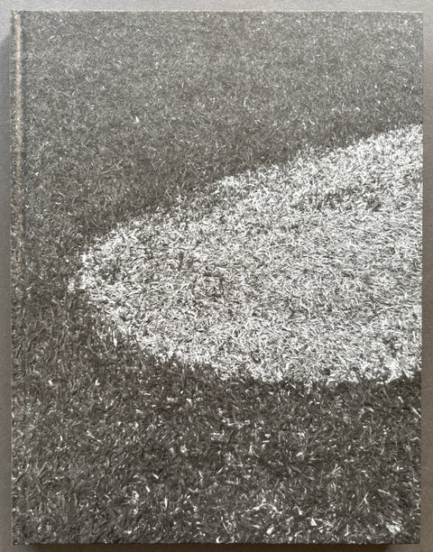 Book titled 'When I Feel Down I Take A Train To The Happy Valley' by Pierfrancesco Celada with a grey cover.