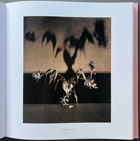 Pistils Robert Mapplethorpe 写真集 Buy Pistils by Robert Mapplethorpe online. – Setanta Books
