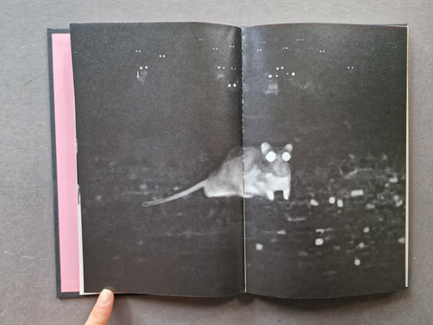 Rattus Sapiens