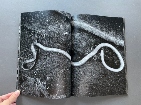 An open book or magazine spread showing a black-and-white photographic print of a snake on a textured dark surface, held open by a hand at the bottom left against a gray background.
