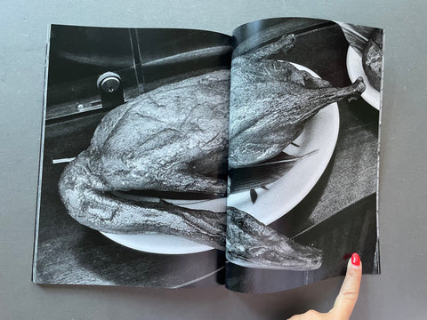 Open book showing black and white image of a roasted duck on a gray surface.