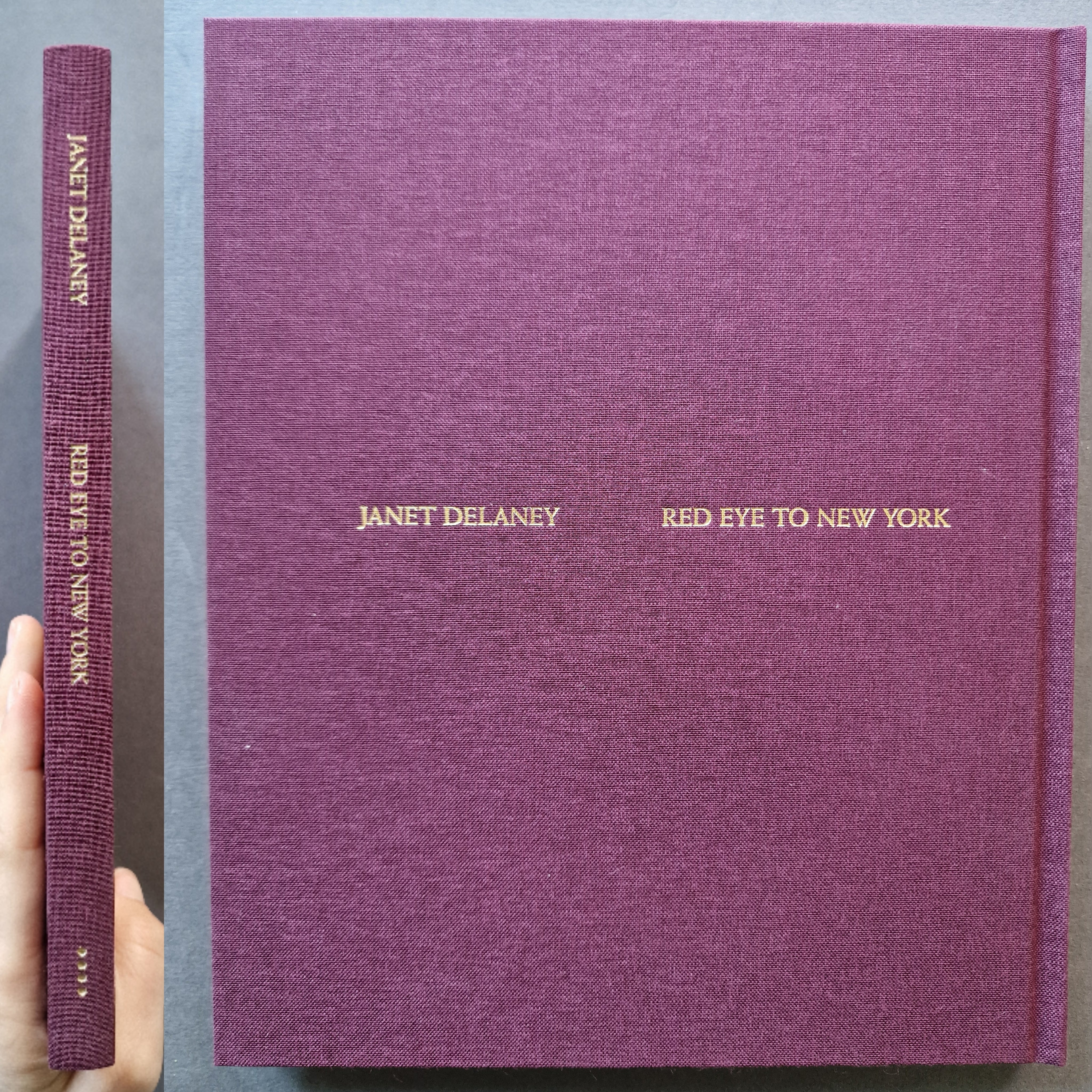 アート・デザイン・音楽 JANET DELANEY RED EYE TO NEW YORK Buy Red Eye to New York by Janet Delaney Online – Setanta Books