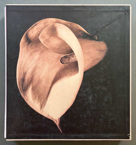 【希少】Pistils Robert Mapplethorpe 写真集 Buy Pistils by Robert Mapplethorpe online. – Setanta Books