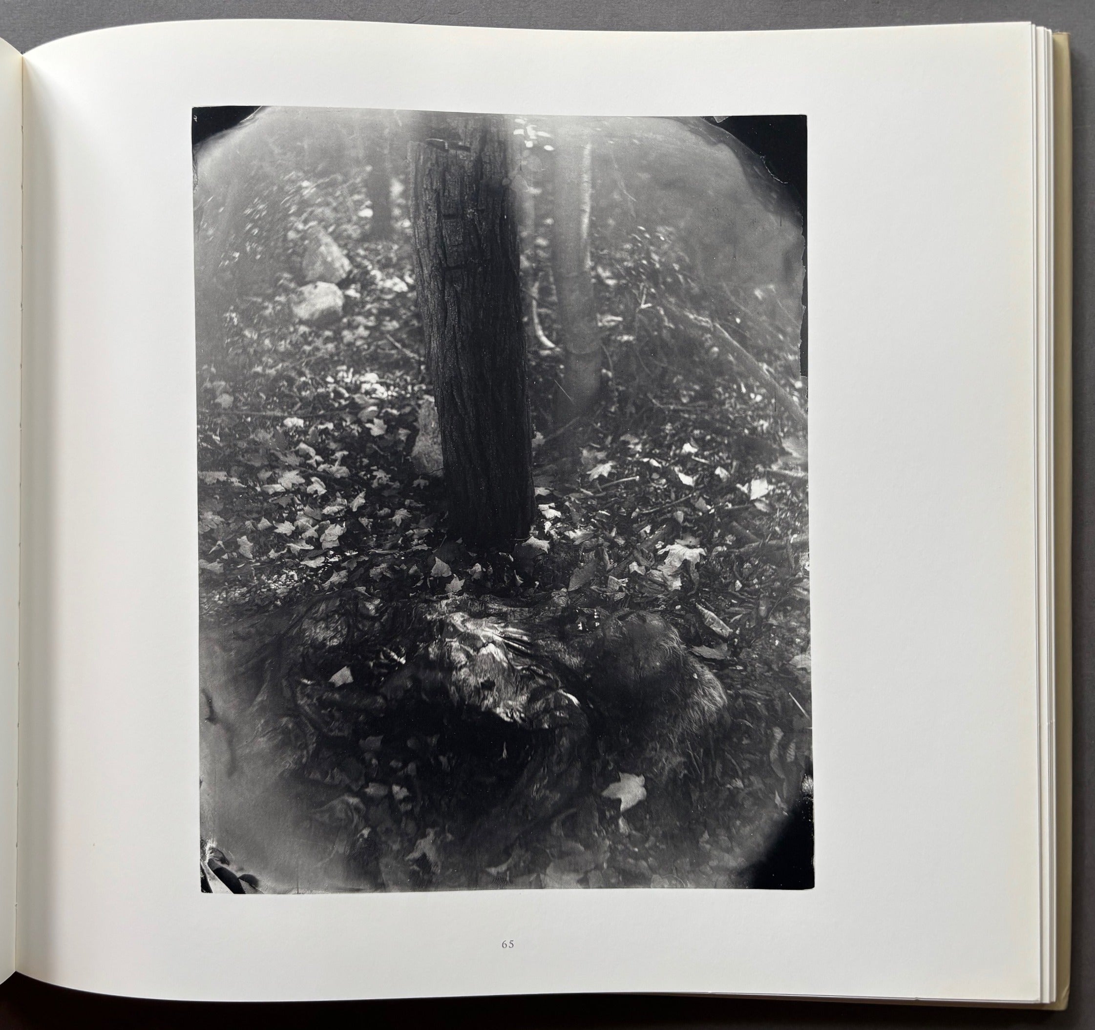 洋書　写真集　Sally Mann: What Remains Buy What Remains by Sally Mann – Setanta Books