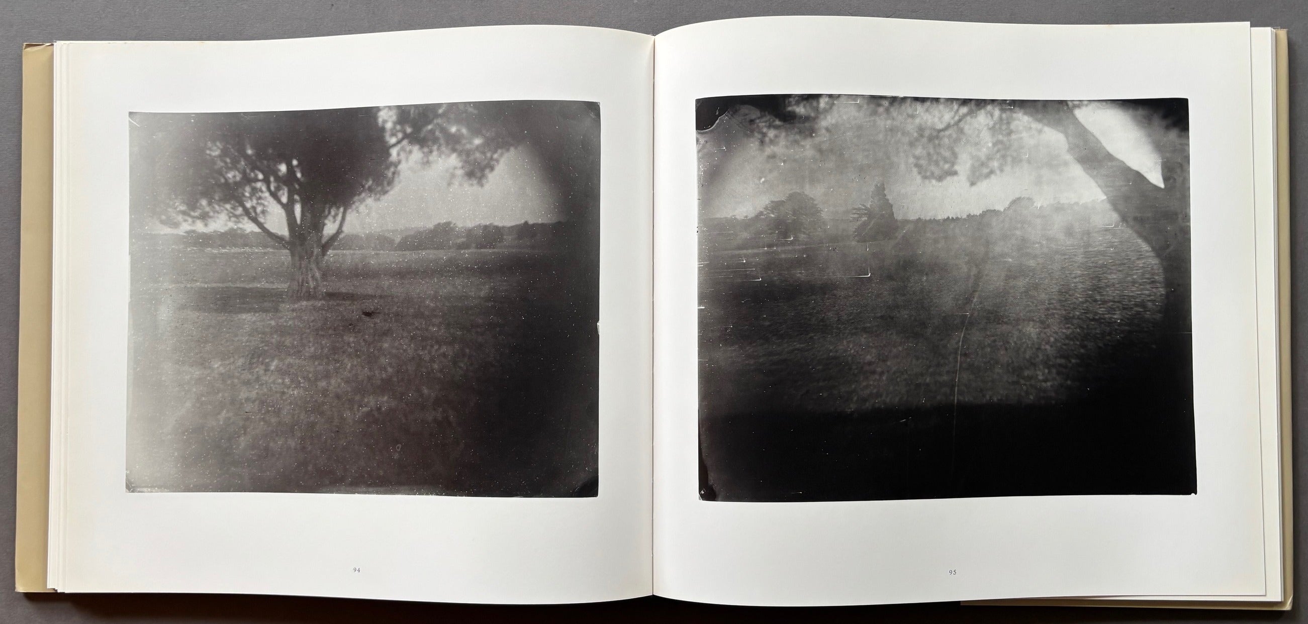洋書　写真集　Sally Mann: What Remains Buy What Remains by Sally Mann – Setanta Books