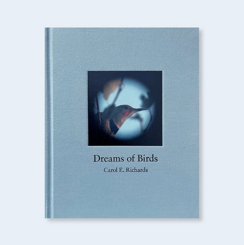 Dreams of Birds