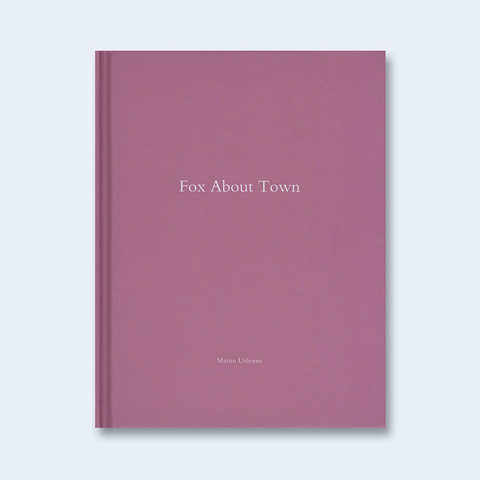 Fox about Town (One Picture Book)
