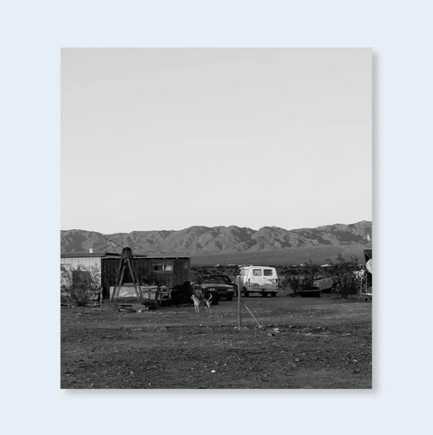Book titled 'Dogs Chasing My Car in the Desert' by John Divola with a cover featuring the black and white image of a desert landscape with a small wooden building, a car, a van and a dog.
