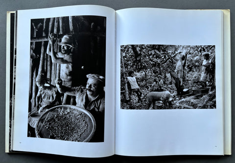 Terra: Struggle Of the Landless