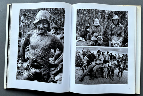 Terra: Struggle Of the Landless