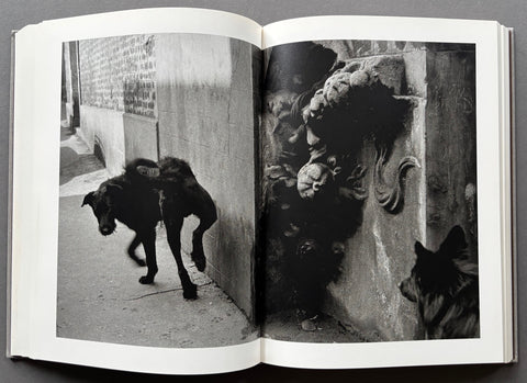 Sergio Larrain