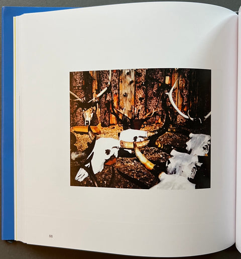 Singular States: Nigel Savill