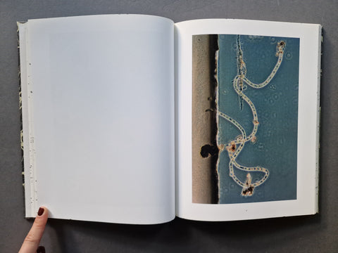 An open book, showing a mostly blank white left page and a printed right page with a blue-toned abstract or botanical-style image featuring a winding cream-colored line and dark spots.