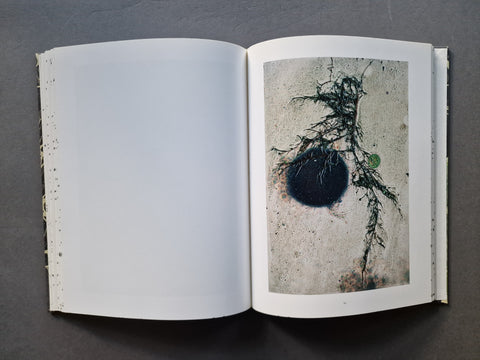 An open book, showing a large blank white page on the left and a square abstract photograph on the right with a dark circular form and branching black line details 