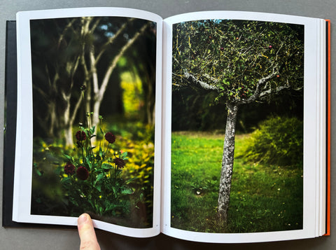 Giverny: A Year In The Garden