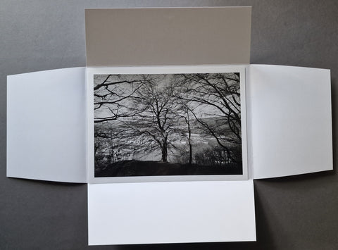 A black and white landscape photographic print of bare winter trees, displayed inside an open white folding card on a dark gray background.