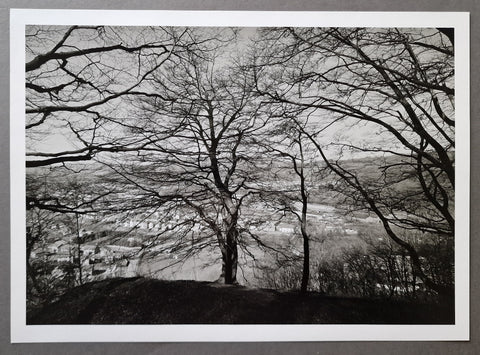 A black and white fine art photographic print depicting leafless trees framing a distant town, presented with a white mat border on a gray background.