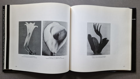 Tina Modotti: A Fragile Life