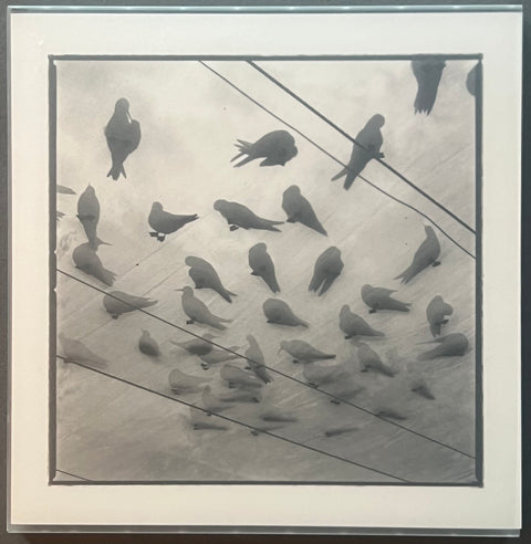 Veiled Observations and Reflections - with print