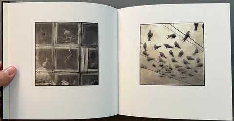 Veiled Observations and Reflections - with print