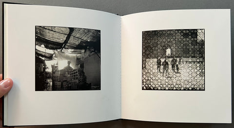 Veiled Observations and Reflections - with print