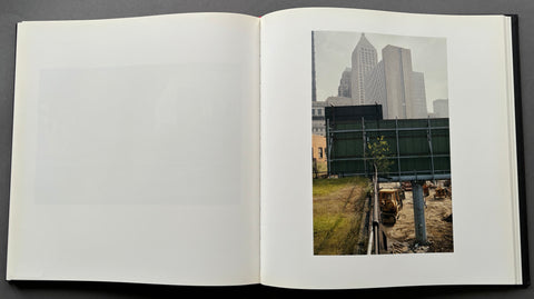 The Democratic Forest: Selected Works