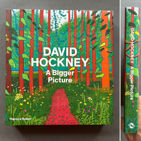 David Hockney: A Bigger Picture (洋書) buy A Bigger Picture by David Hockney – Setanta Books