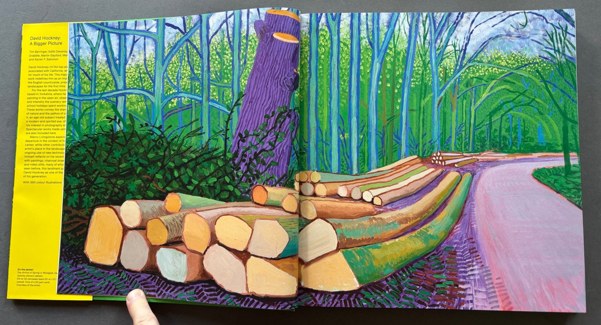 buy A Bigger Picture by David Hockney – Setanta Books
