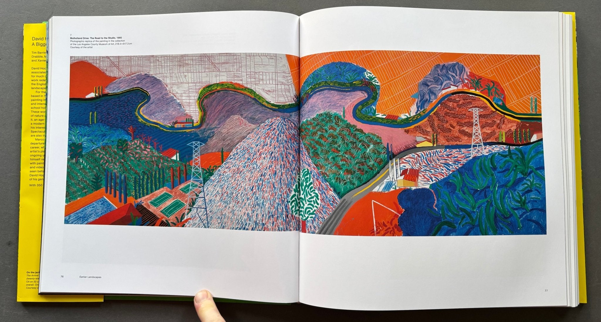 buy A Bigger Picture by David Hockney – Setanta Books