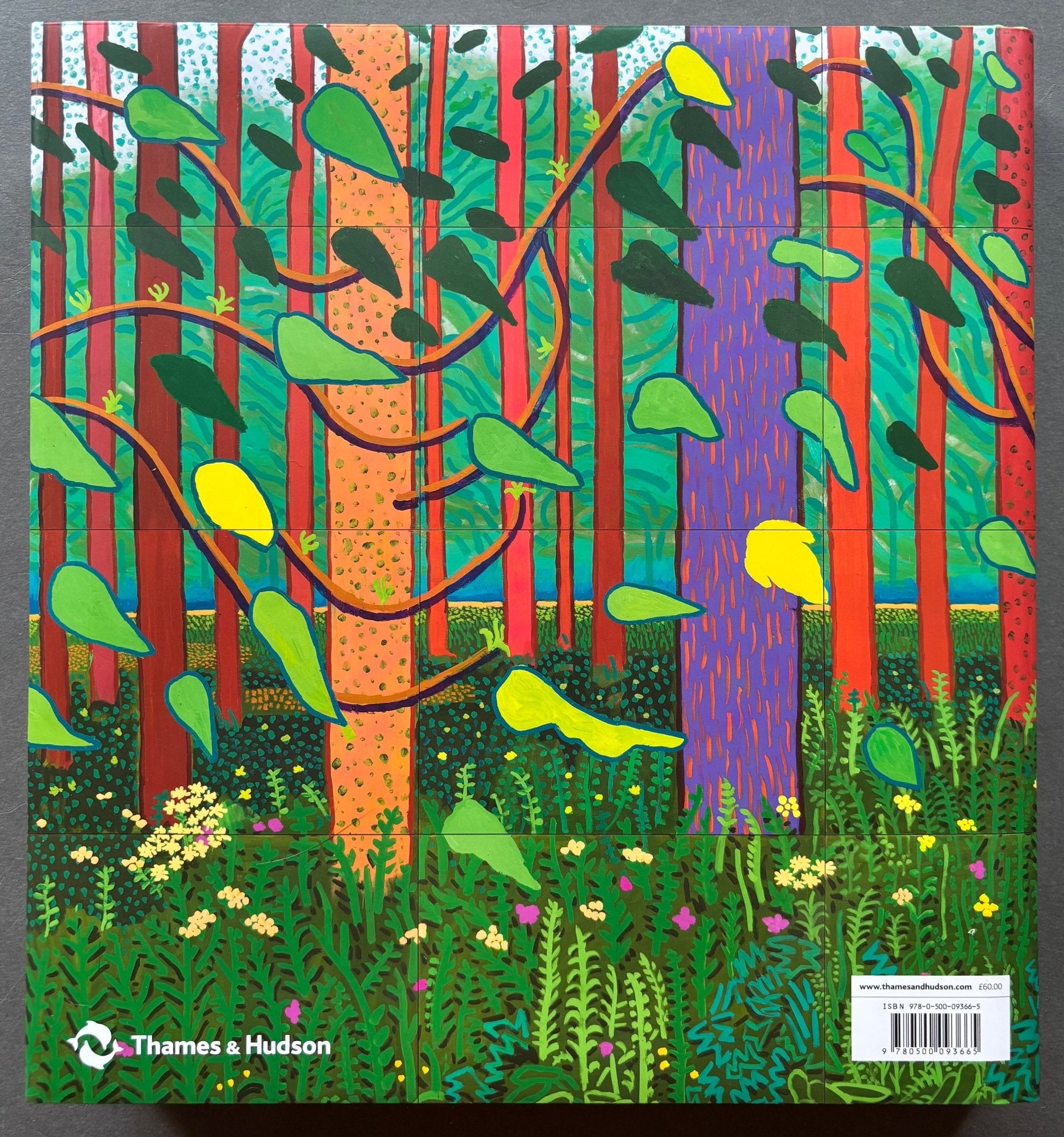 buy A Bigger Picture by David Hockney – Setanta Books