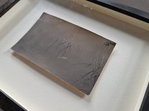 A Box of Ku, 728 (Fish), 1999 - Setanta Books