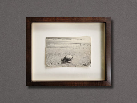 A Box of Ku (Sea Turtle), 1999 - Setanta Books