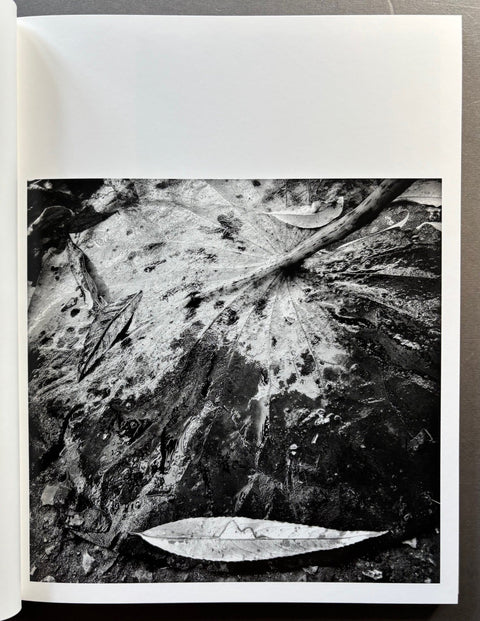 A Certain Nature, after Giverny - Setanta Books