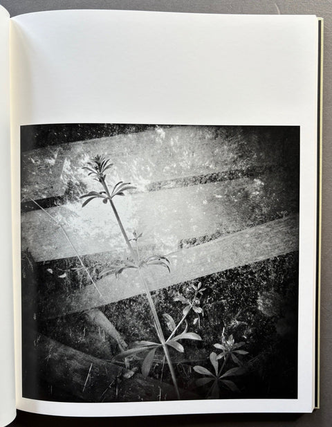 A Certain Nature, after Giverny - Setanta Books