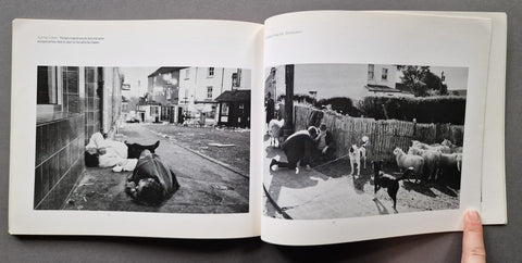 A Fair Day - Setanta Books