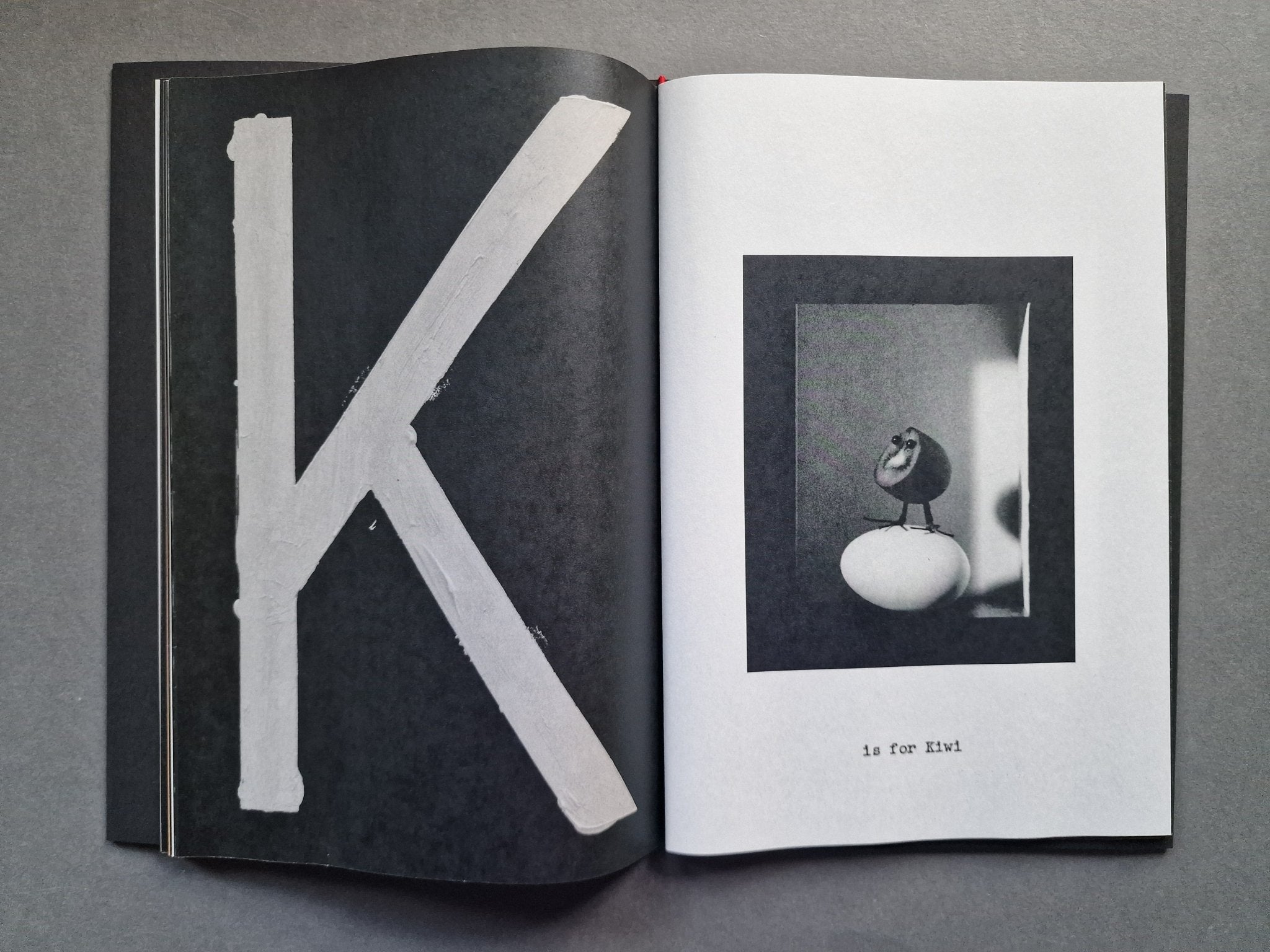 洋書 JACK DAVISON:A is for ant A is for Ant Book 1 | Jack Davison