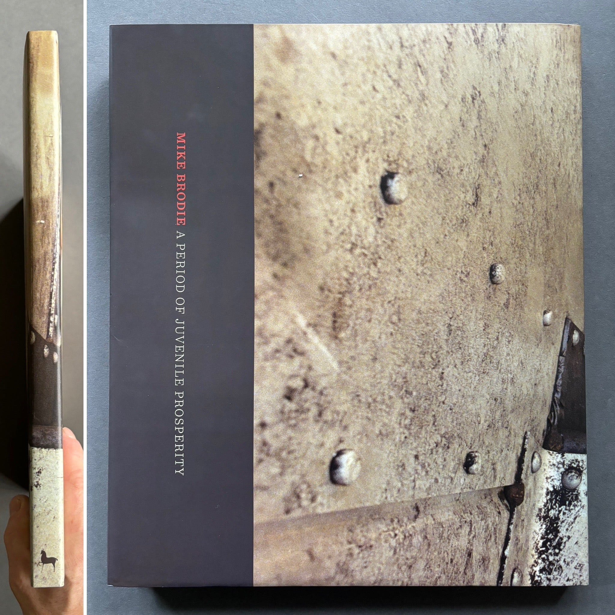 Buy A Period of Juvenile Prosperity by Mike Brodie Online
